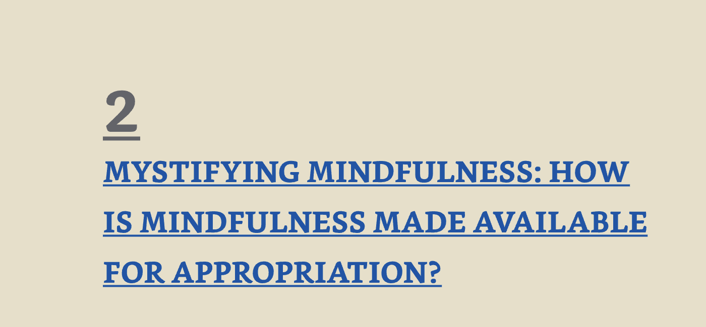 第二章〈Mystifying Mindfulness〉 书影