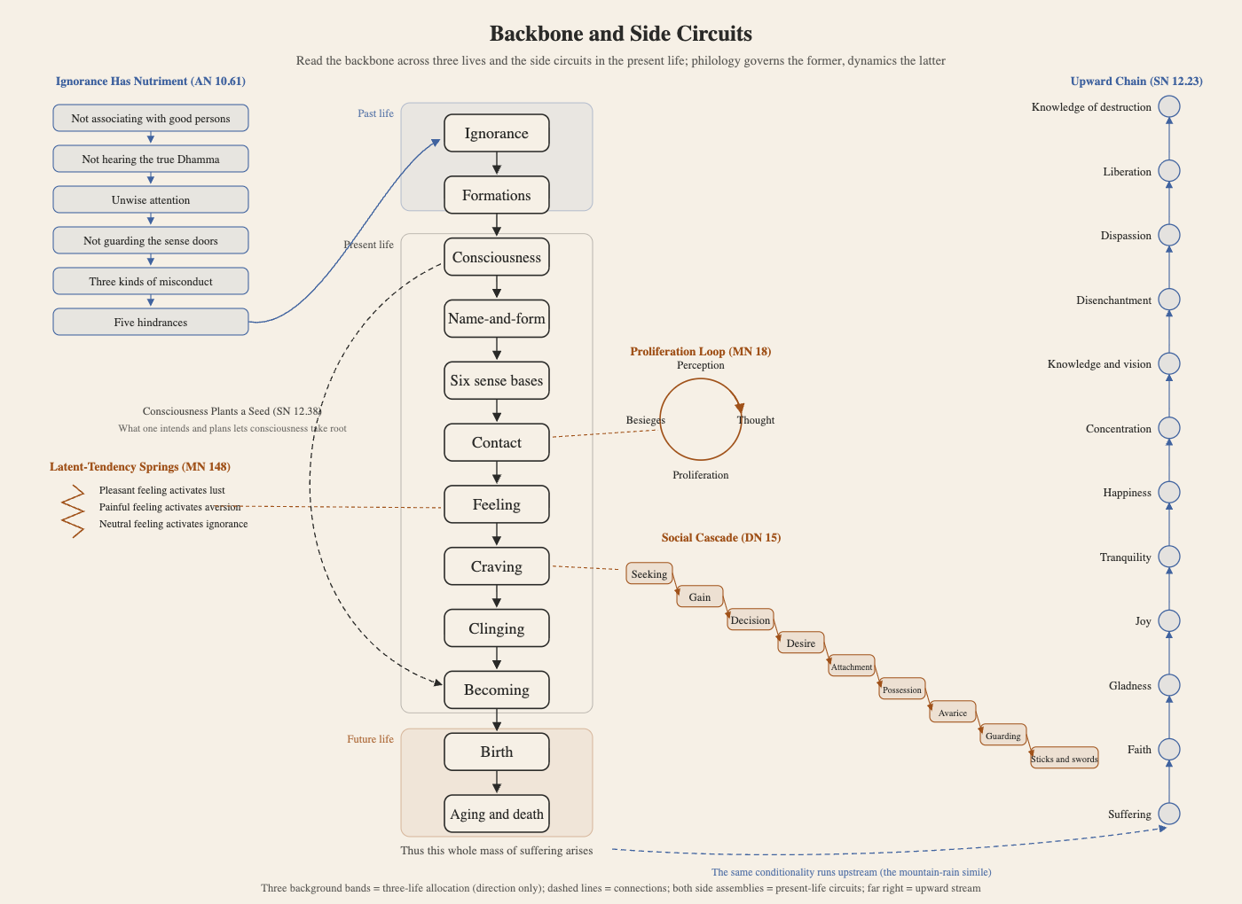 Overview of backbone and bypasses: the three-life structure, present-life circuits, and the ascending river