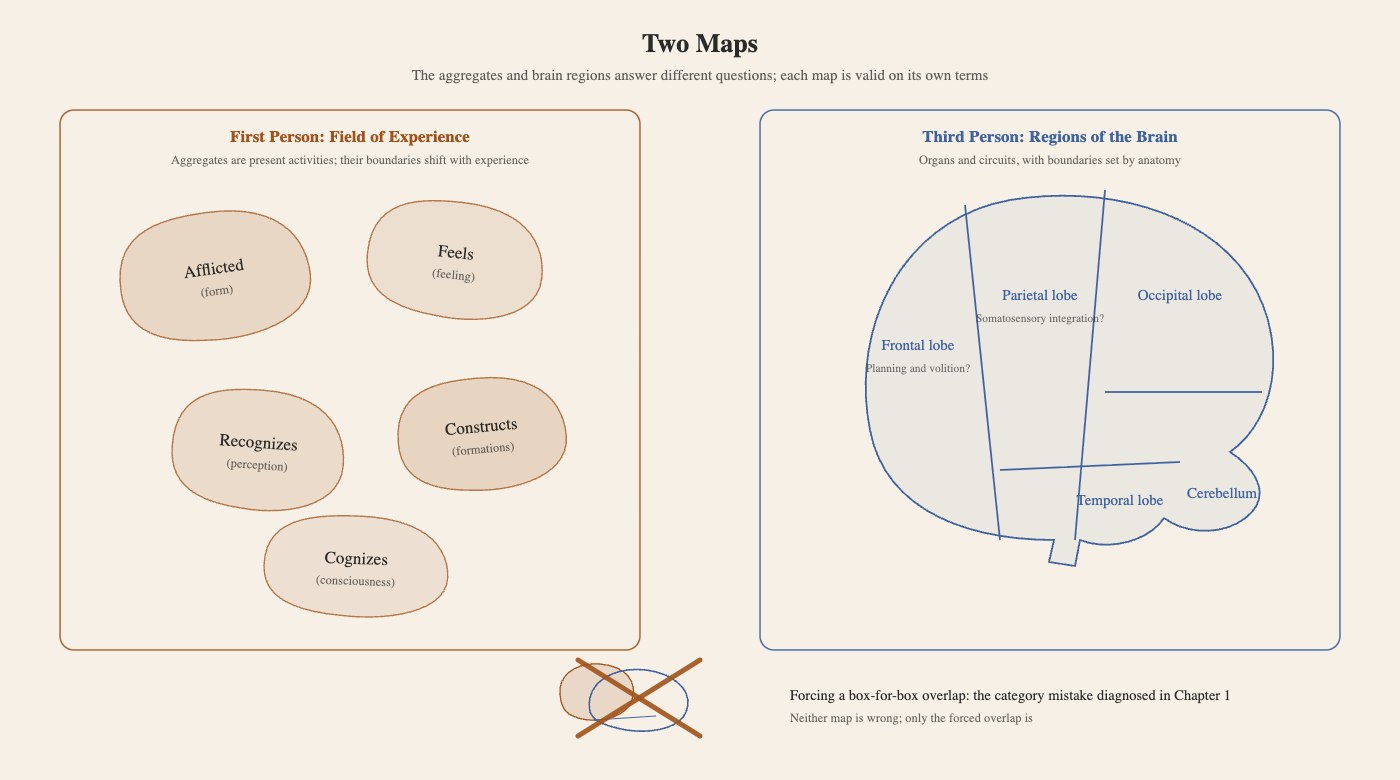 Two maps: the field of experience and the partitioned cranium