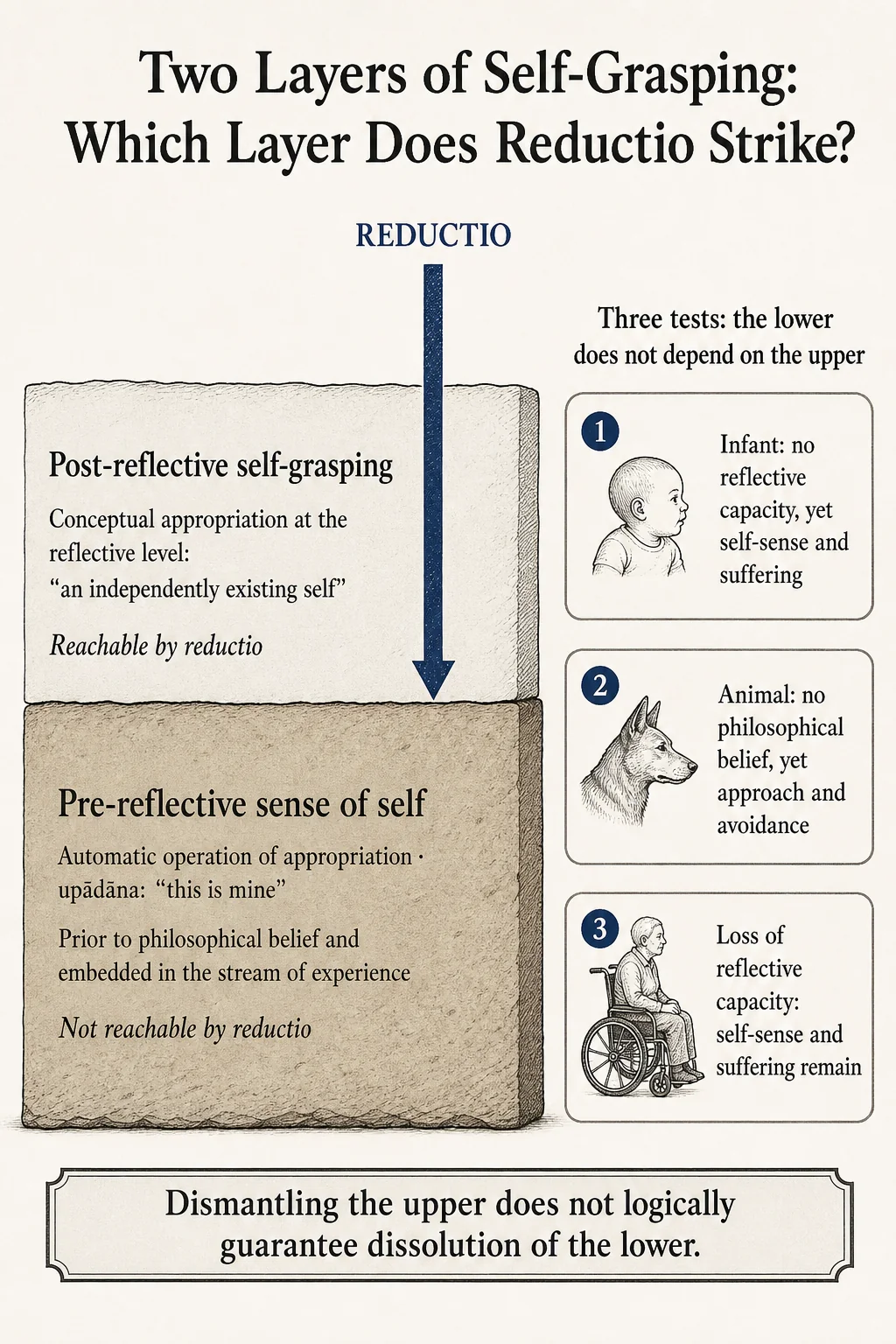 Two levels of self-grasping: which level does reductio strike?